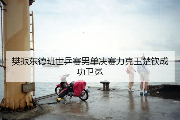 樊振东德班世乒赛男单决赛力克王楚钦成功卫冕