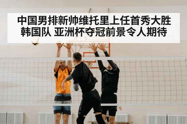 volleyball spike block